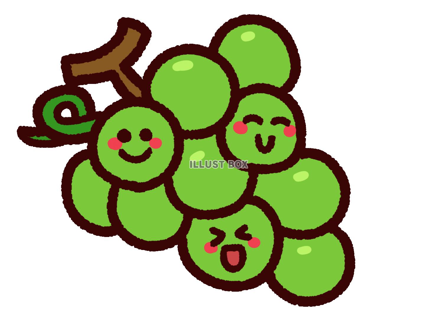 かわいいブドウのキャラクター　緑