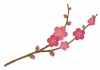 梅の花イラスト（水彩風）