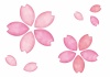 水彩風★桜と花びらイラスト