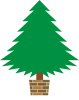 クリスマスツリー・モミの木・元イメージ
