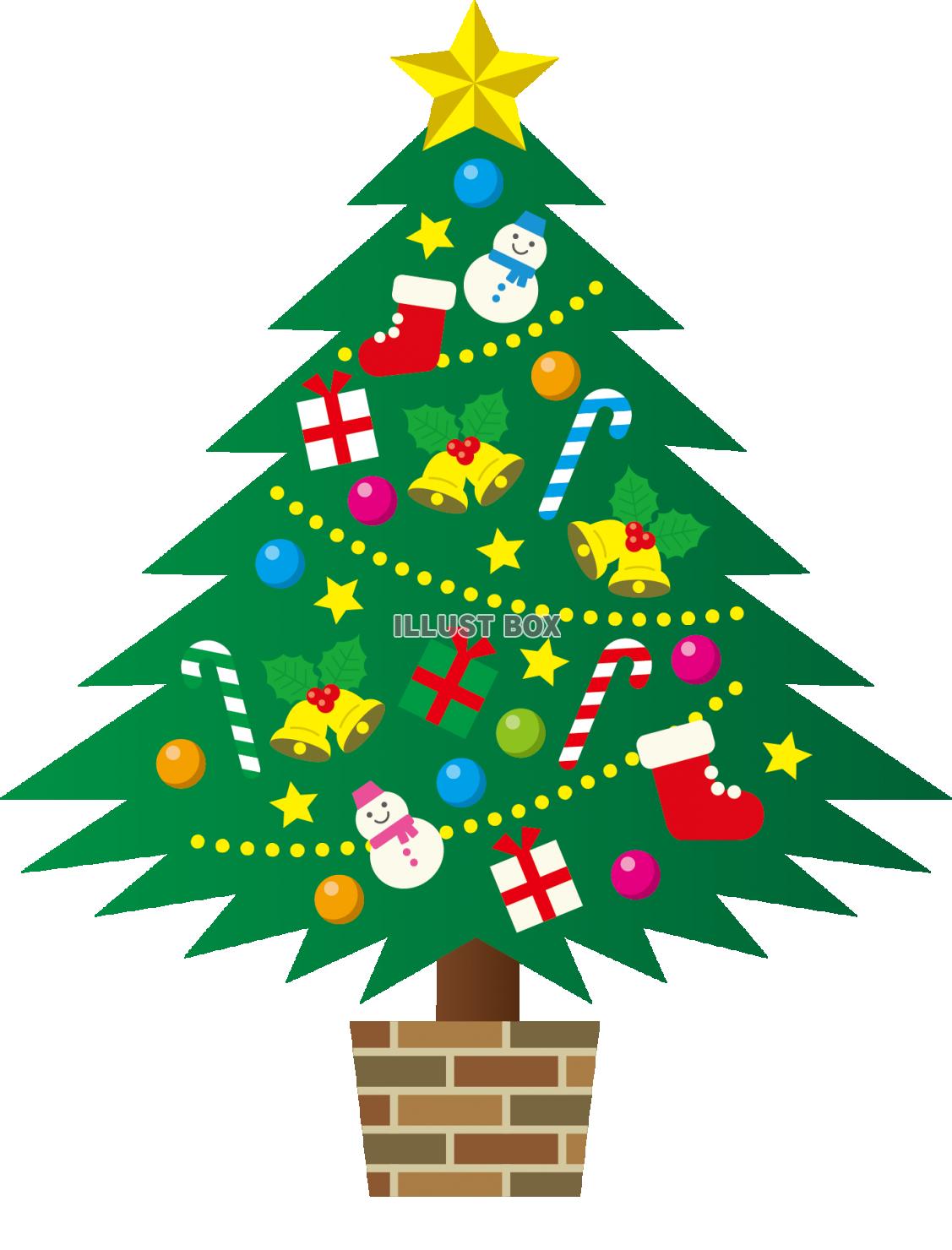 クリスマスツリー・木・モミの木・イメージ