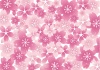 桜いっぱいの背景・壁紙素材
