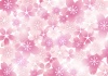 桜いっぱいの背景・壁紙素材