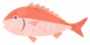 シンプルな鯛のイラスト魚(zip:ai(cs2),jpg,透過png)