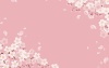 テキストスペース付き　満開の桜の背景