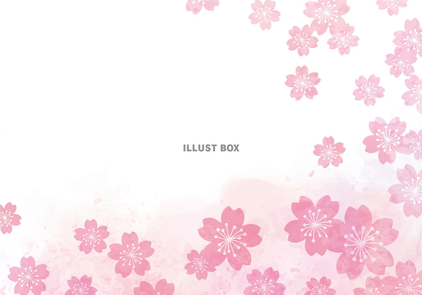 桜の花のカード　背景フレーム
