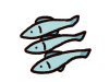 魚　2