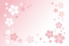 桜ポストカード01