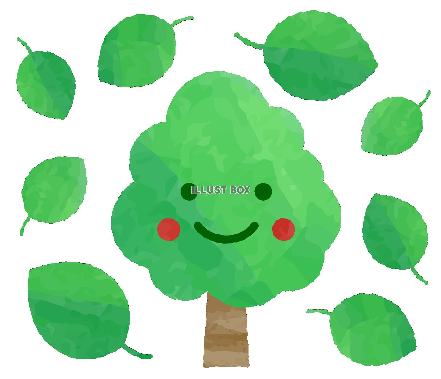 笑顔の緑の木と緑の葉