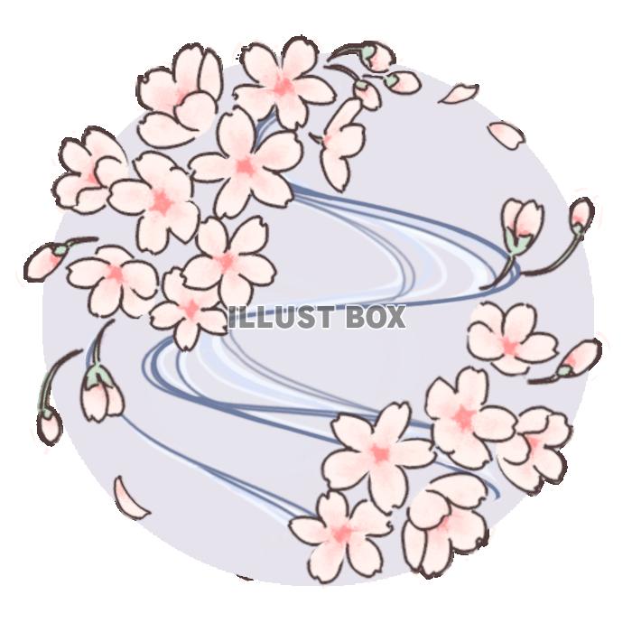 桜に流水模様のイラスト（藤色）