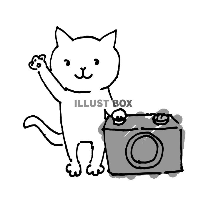 写真を撮影している白猫のイラスト