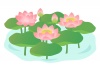 水辺に咲くピンクの蓮の花