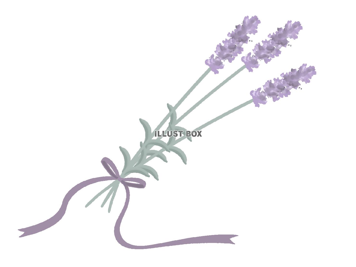 ラベンダーの花束イラスト