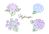 シンプル・カラフルな紫陽花のイラスト