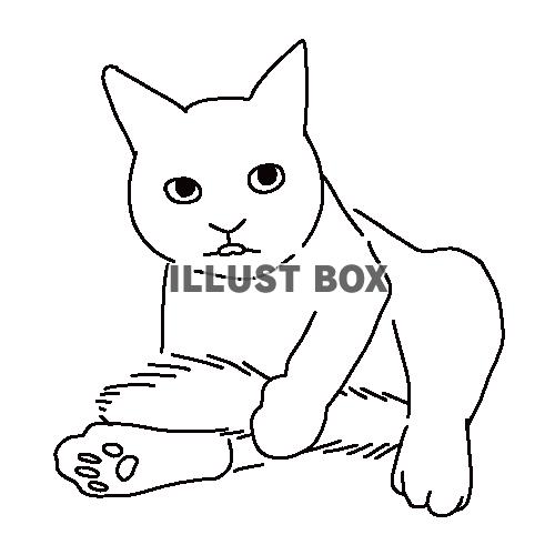 尻尾の毛繕いをする猫の全身線画イラスト