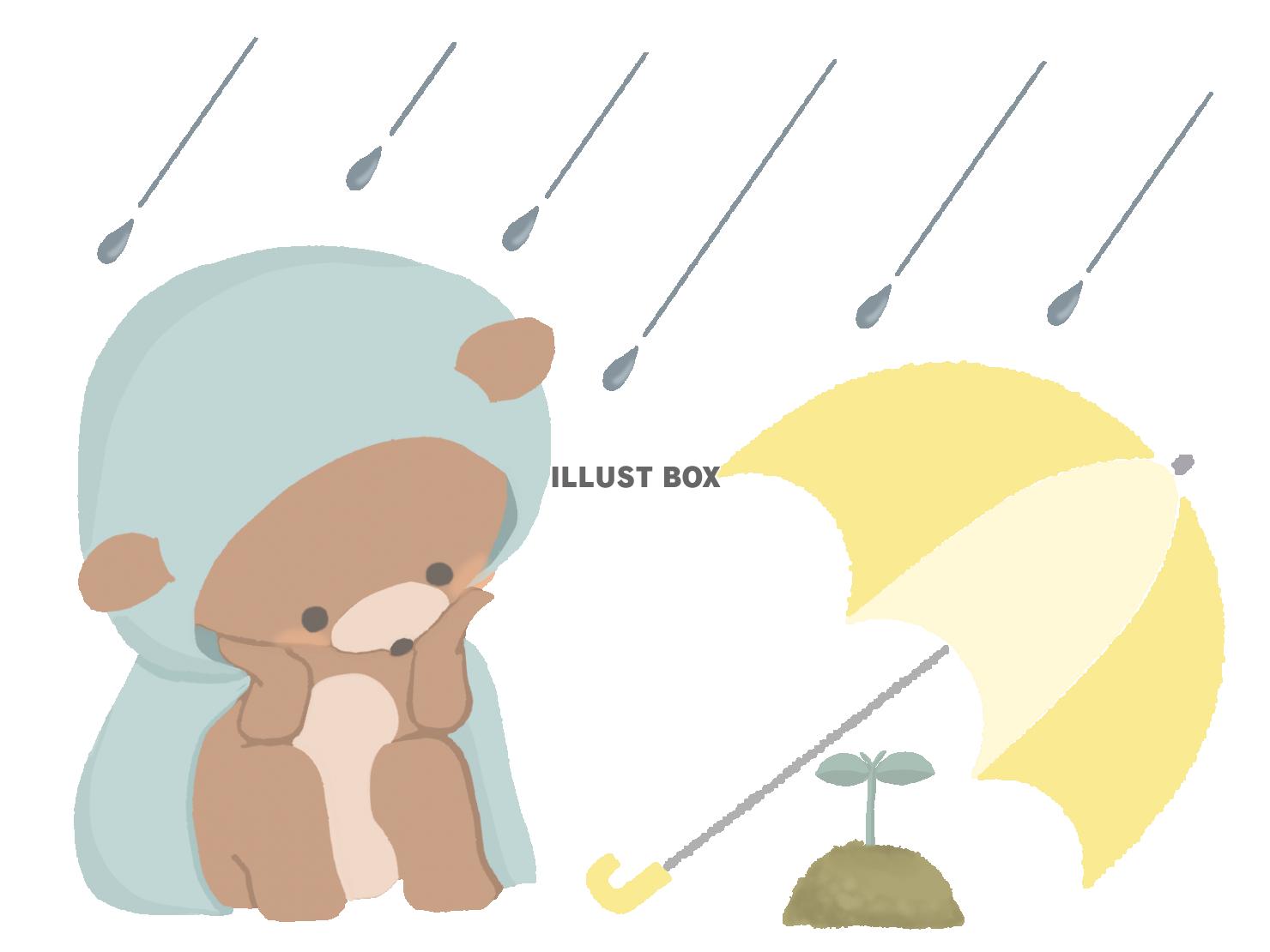 雨の中双葉を見守るクマのイラスト　線なし