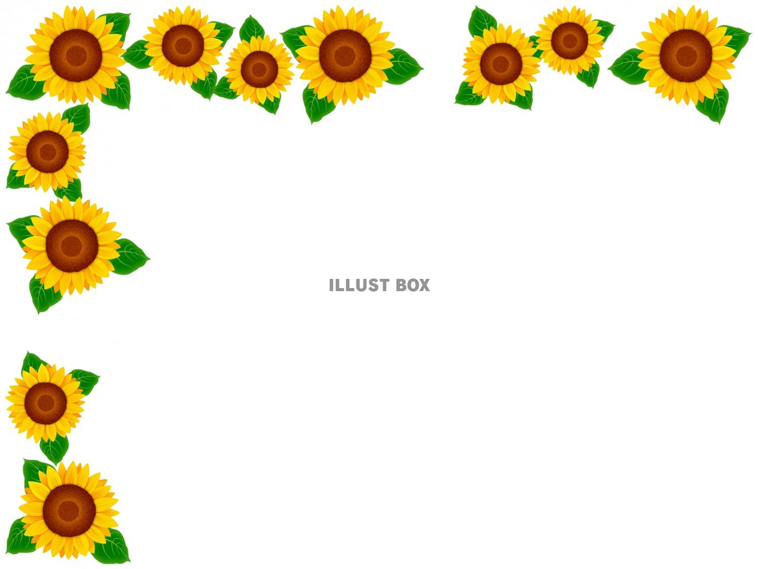 向日葵の花模様フレームシンプル飾り枠背景素材イラスト 