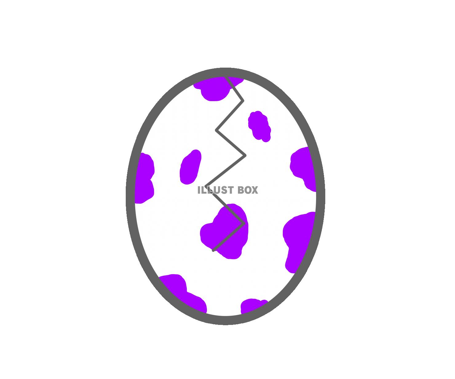紫の斑点模様の卵(割れる)