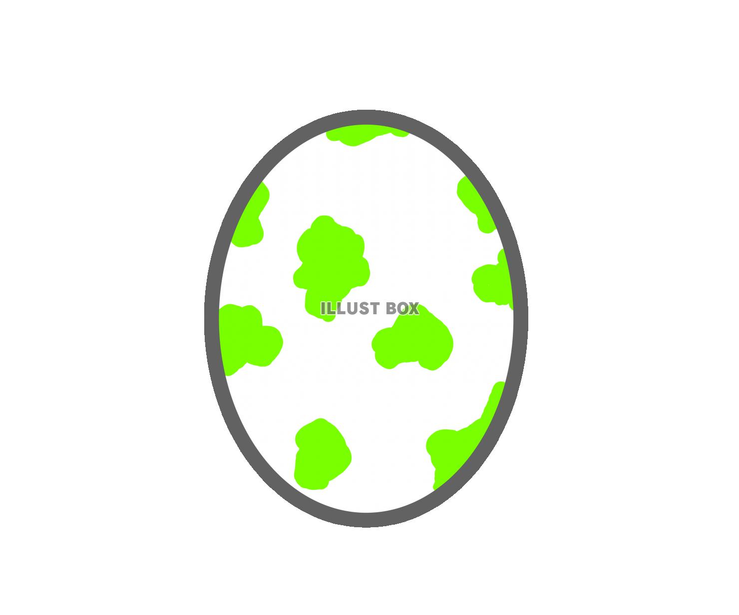 黄緑の卵