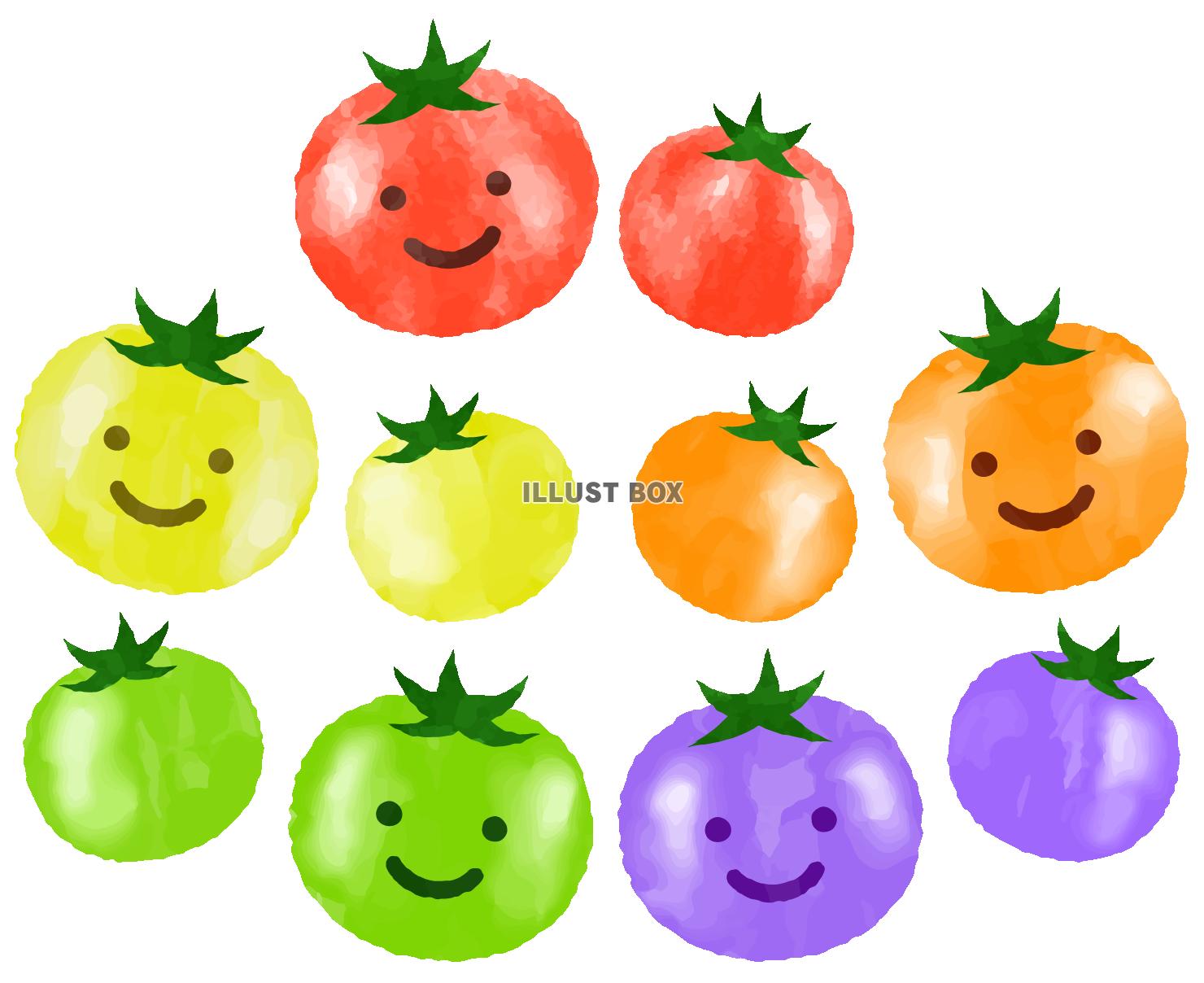 笑顔のいろんな色のトマト
