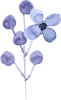 「水彩の花ブルー１」のイラスト3