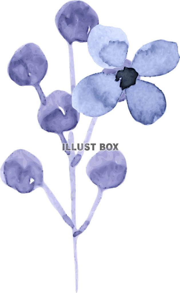 「水彩の花ブルー１」のイラスト3