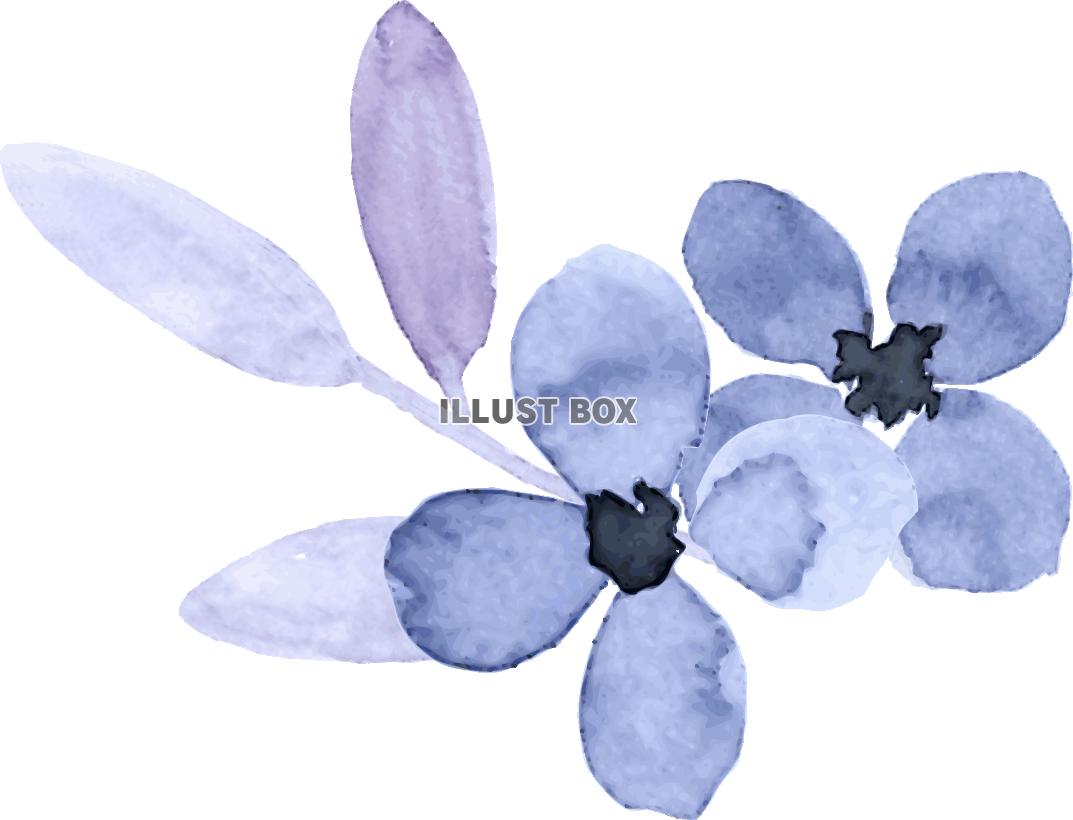 「水彩の花ブルー１」のイラスト4