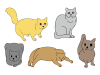 色々な猫のイラスト素材セット