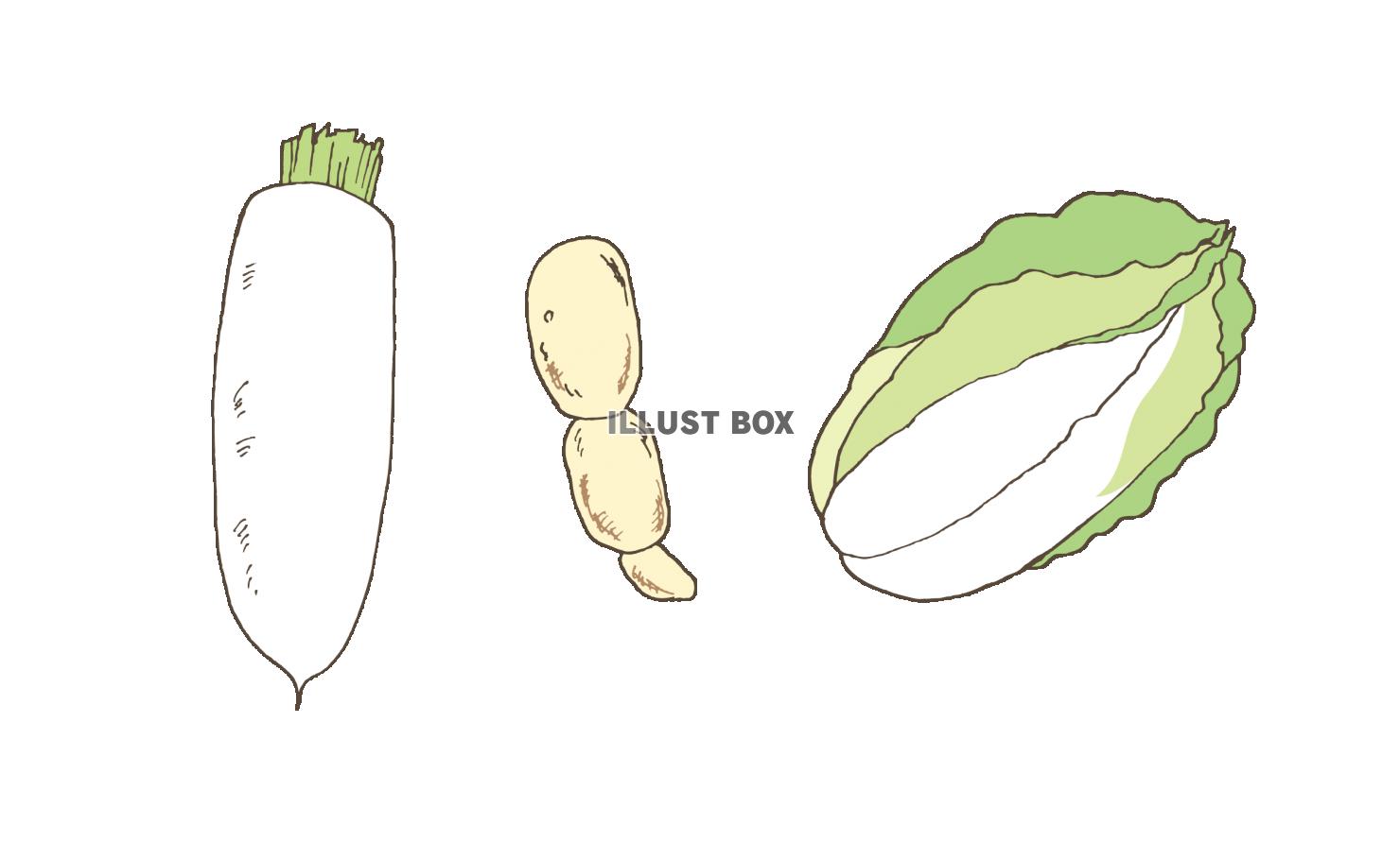 【ベクターカット】ラフに描いた白い野菜