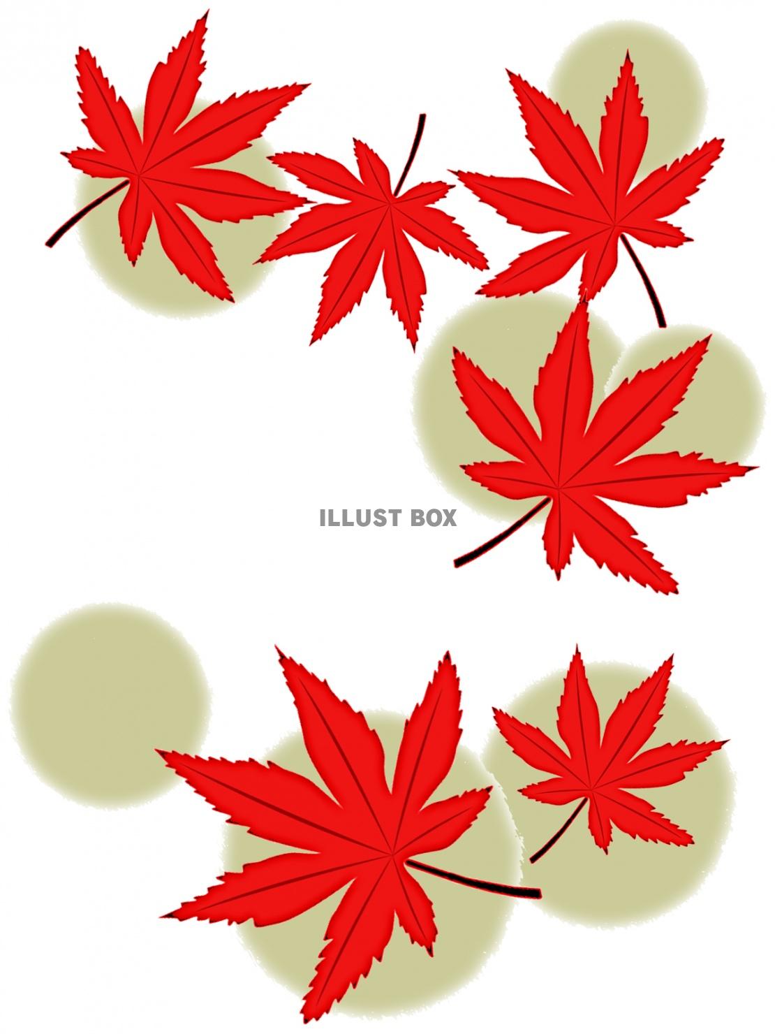 紅葉の葉っぱ壁紙シンプル背景素材イラスト