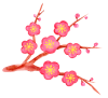 水彩の梅の花