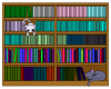 【ねこ】本棚と猫