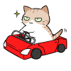 車を運転する猫