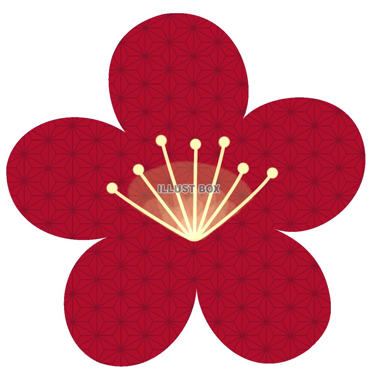 梅の花に麻の葉文様のイラスト素材（赤）