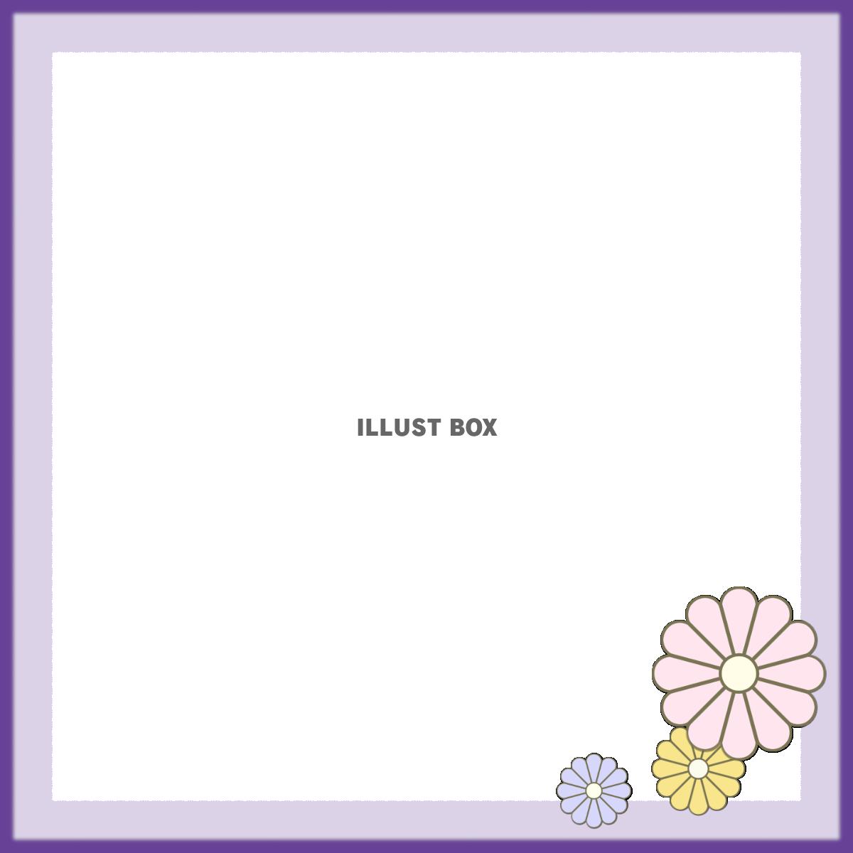 正方形フレーム　菊　和風イラスト（紫）