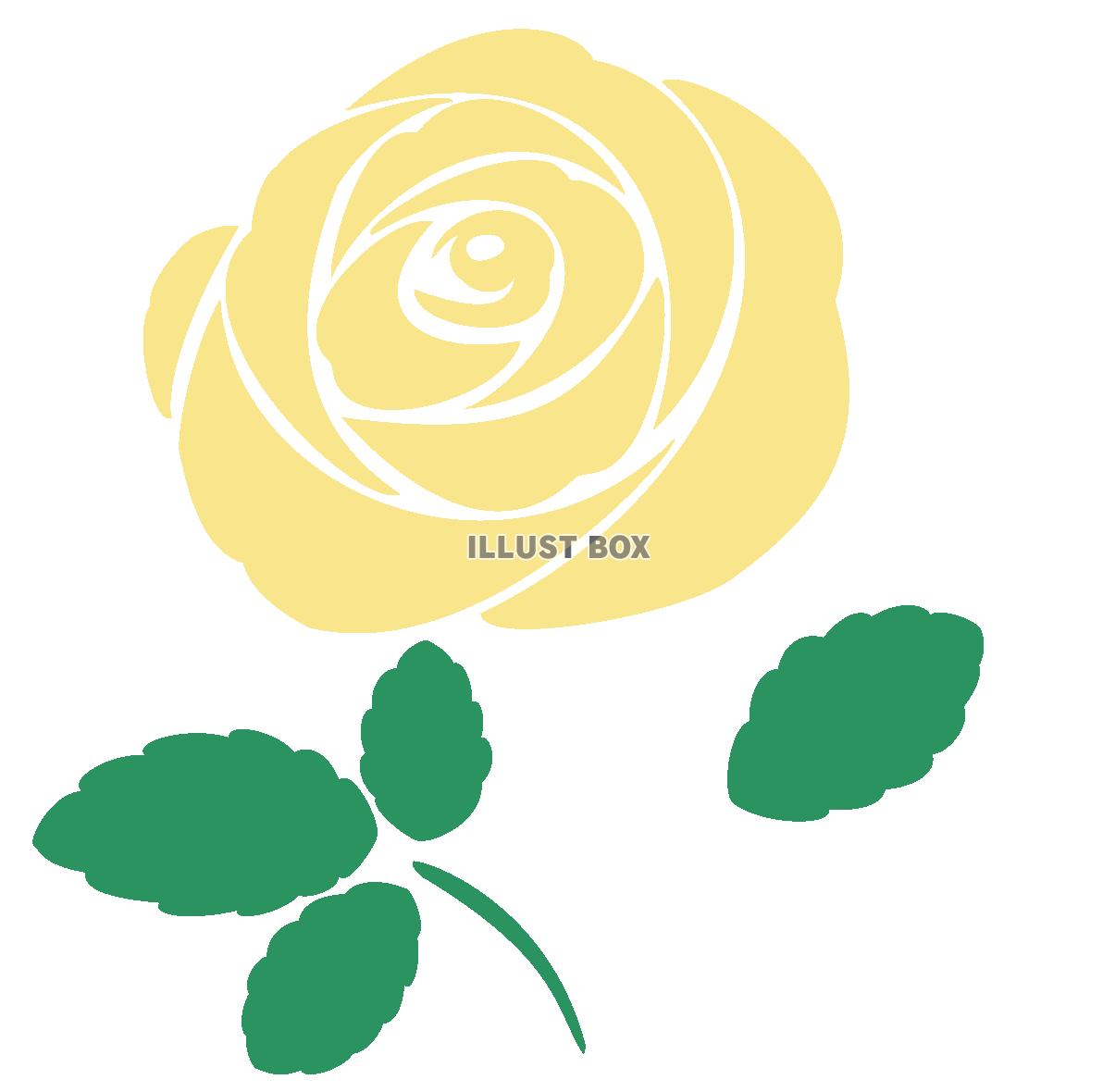 黄色い薔薇の花のイラスト　一輪　透過PNG