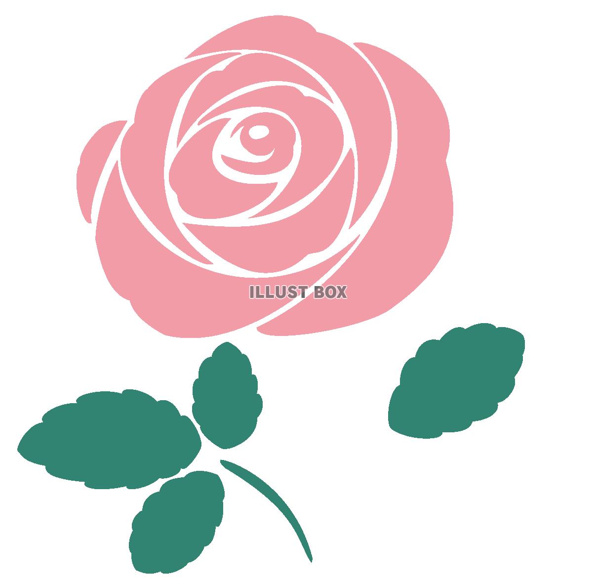 ピンクの薔薇の花のイラスト　一輪　透過PNG