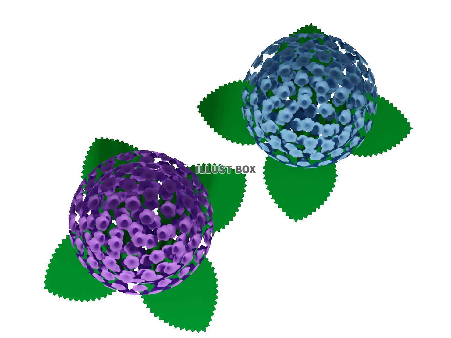 紫陽花の花（3DCG・透過PNG）のイラスト素材