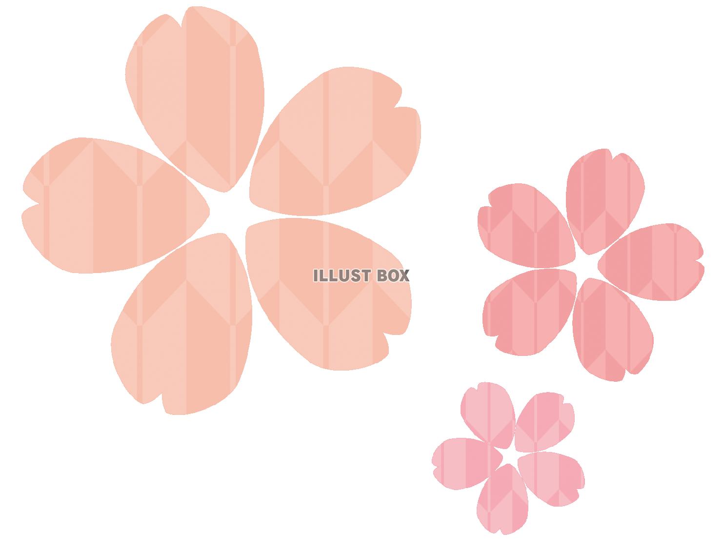 桜の花に矢羽根模様のイラスト　春の和風素材　透過PNG