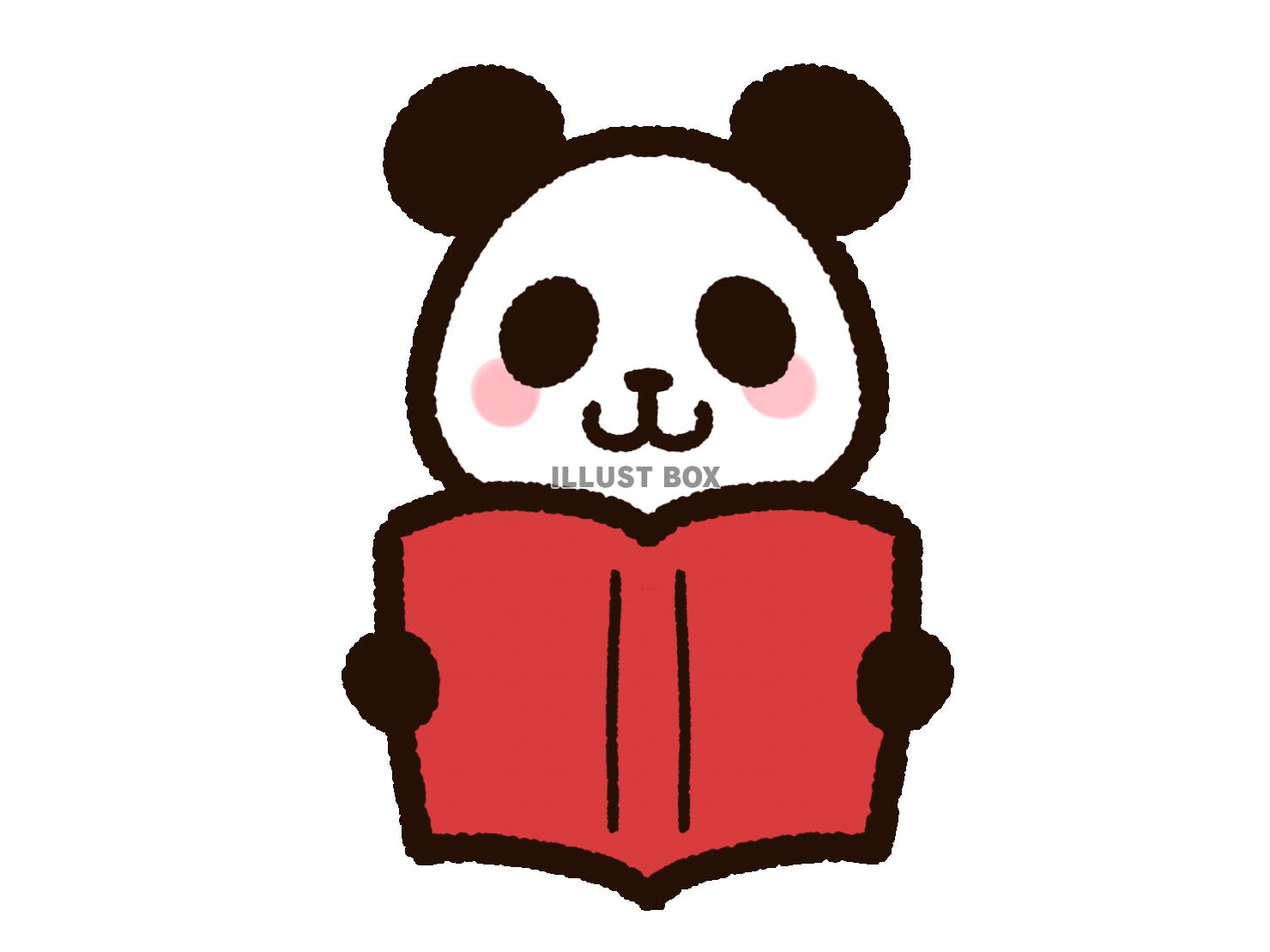 読書をするかわいいパンダ