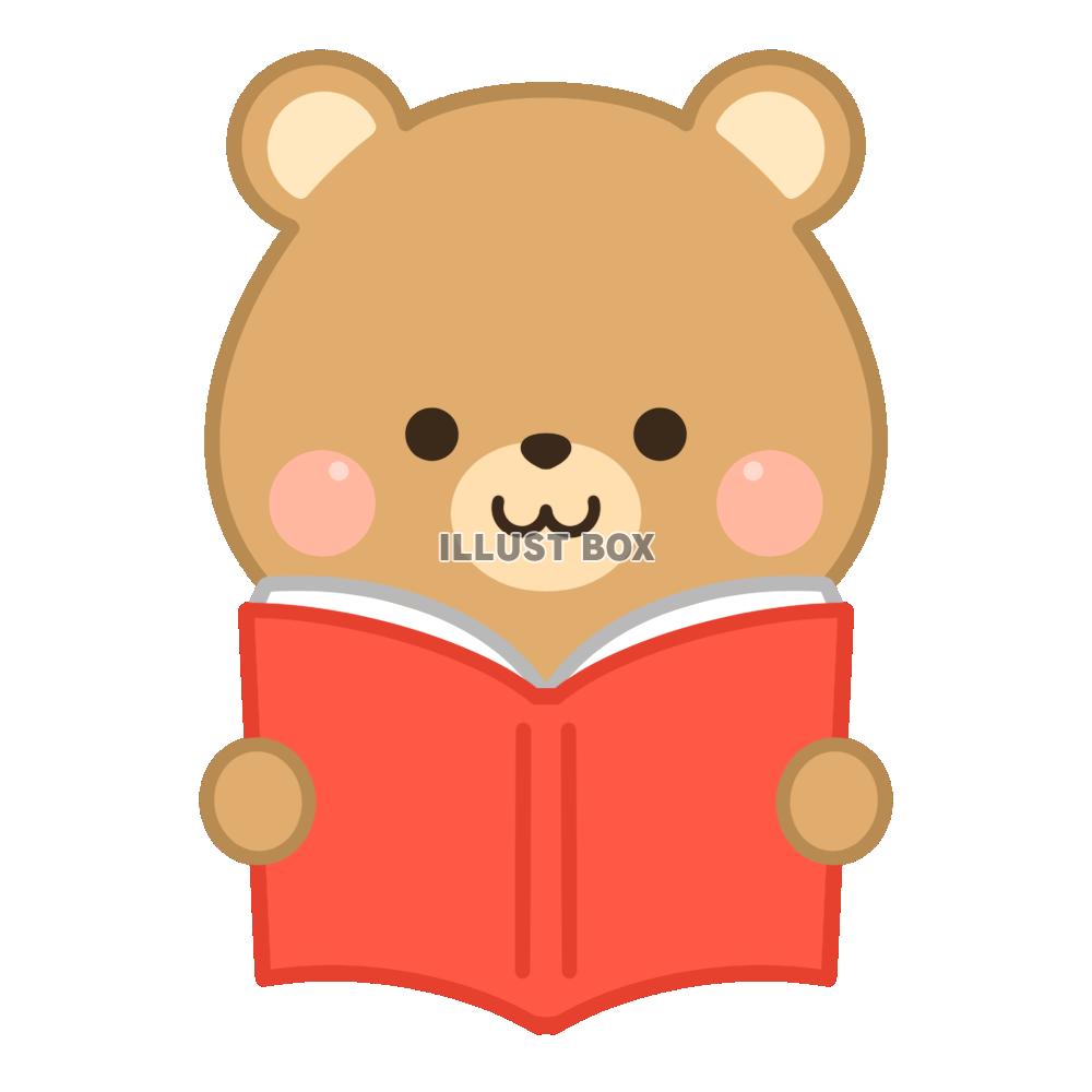本を読むクマ・赤