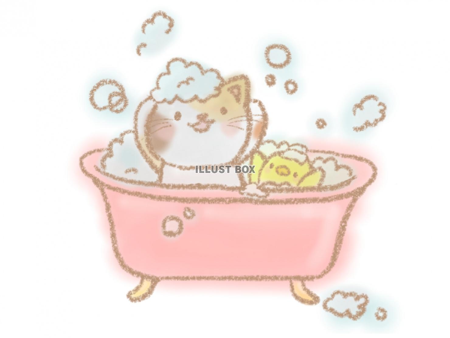 猫とひよこのお風呂タイム