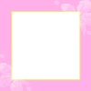 正方形の桜背景フレーム：ピンク