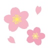 桜のカットイラスト