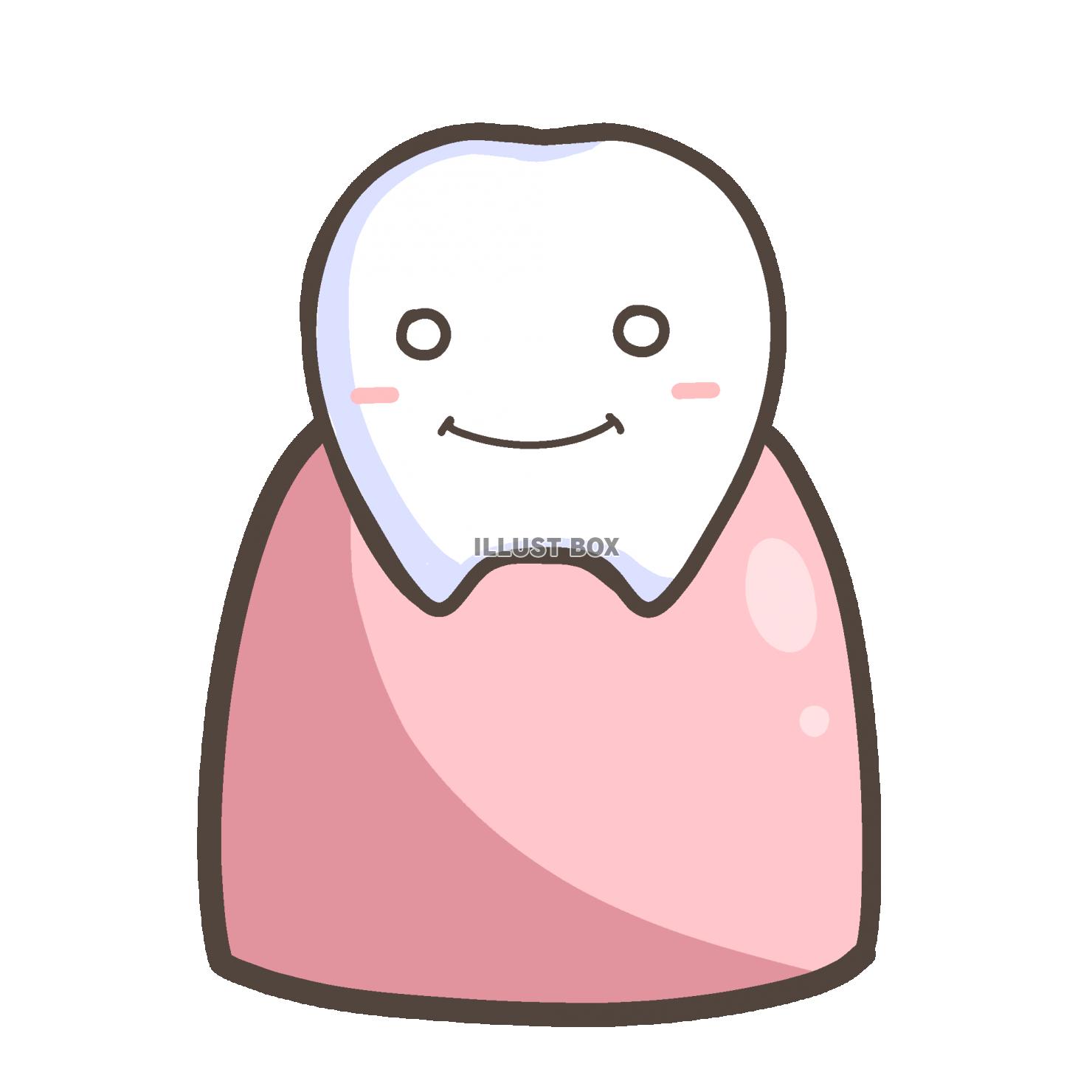歯と歯茎のキャラクターイラスト