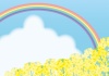 春の風景　菜の花と虹と青空のあるフレーム