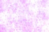 満開のピンクの花　ソフトなイメージの背景
