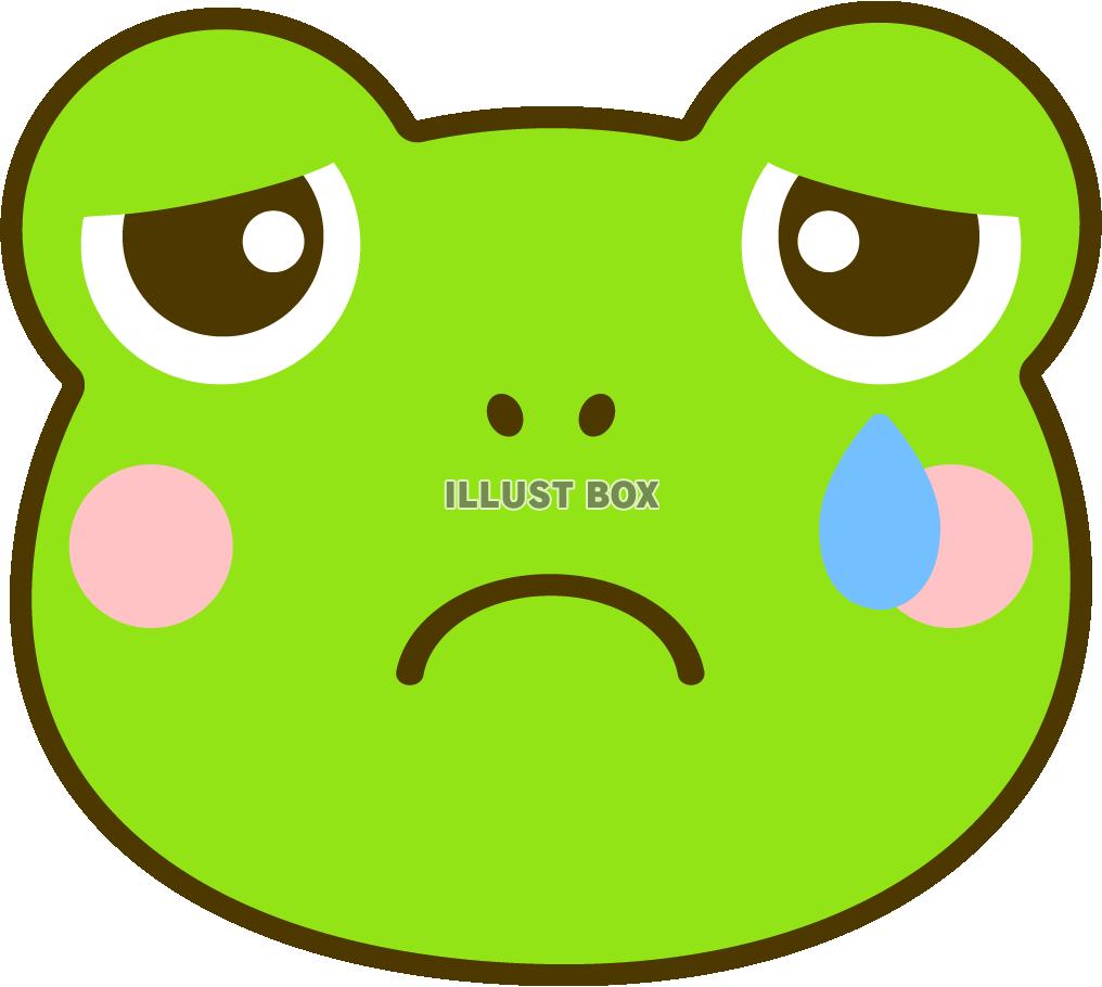 蛙・カエル　泣き顔