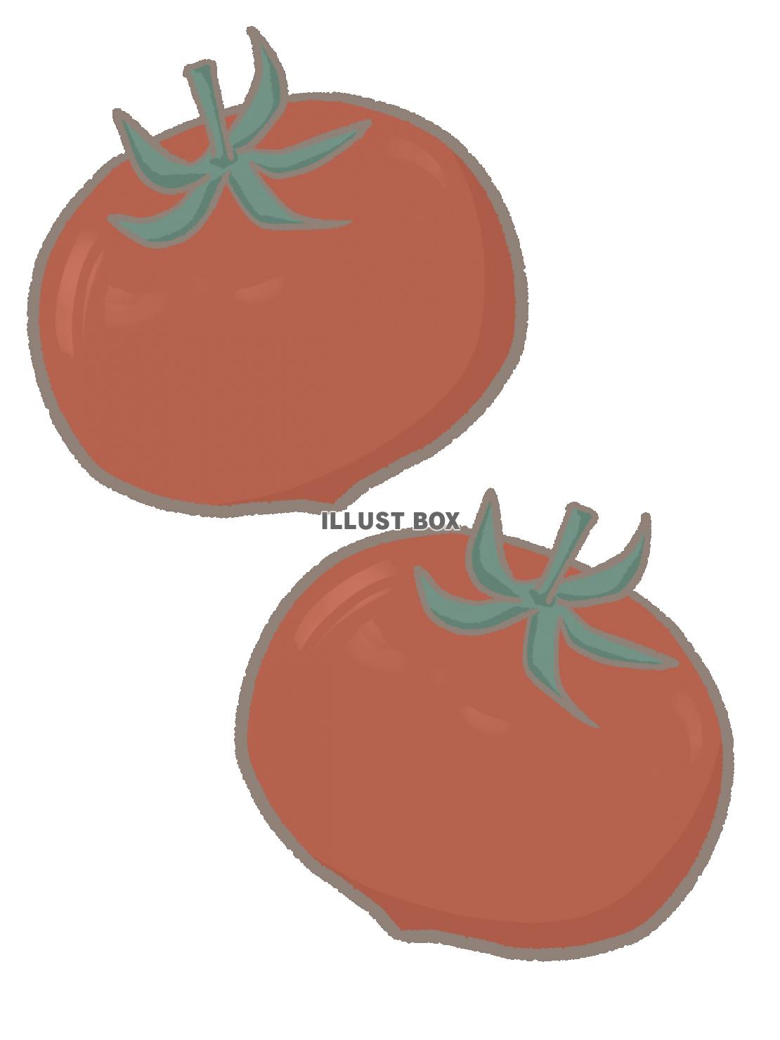 シンプルな赤いトマトのイラスト　線あり