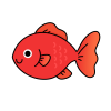 金魚　赤